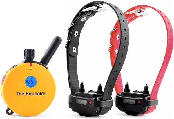 E-Collar ET-402 Dog Training Collar, 2 Dog System, Yellow | Humane with Remote, 100 Safe Tapping Stimulation Levels, Waterproof Rechargeable, 3/4 Mile Range