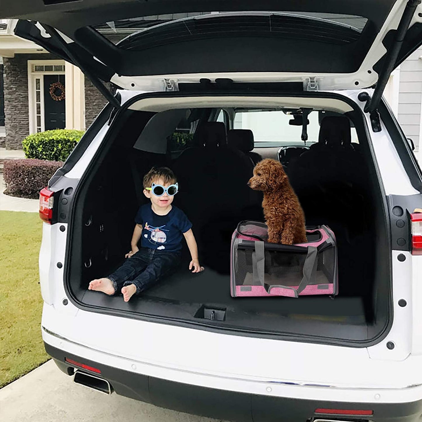 Pet Carrier for Large and Medium Cat, Soft-Sided Pet Crate for Puppy | Dog Foldable Car Traveling Kennel Bag with Privacy Protection, Big Kitten Carrying Cage Ventilated Home Outdoor Vet Transport