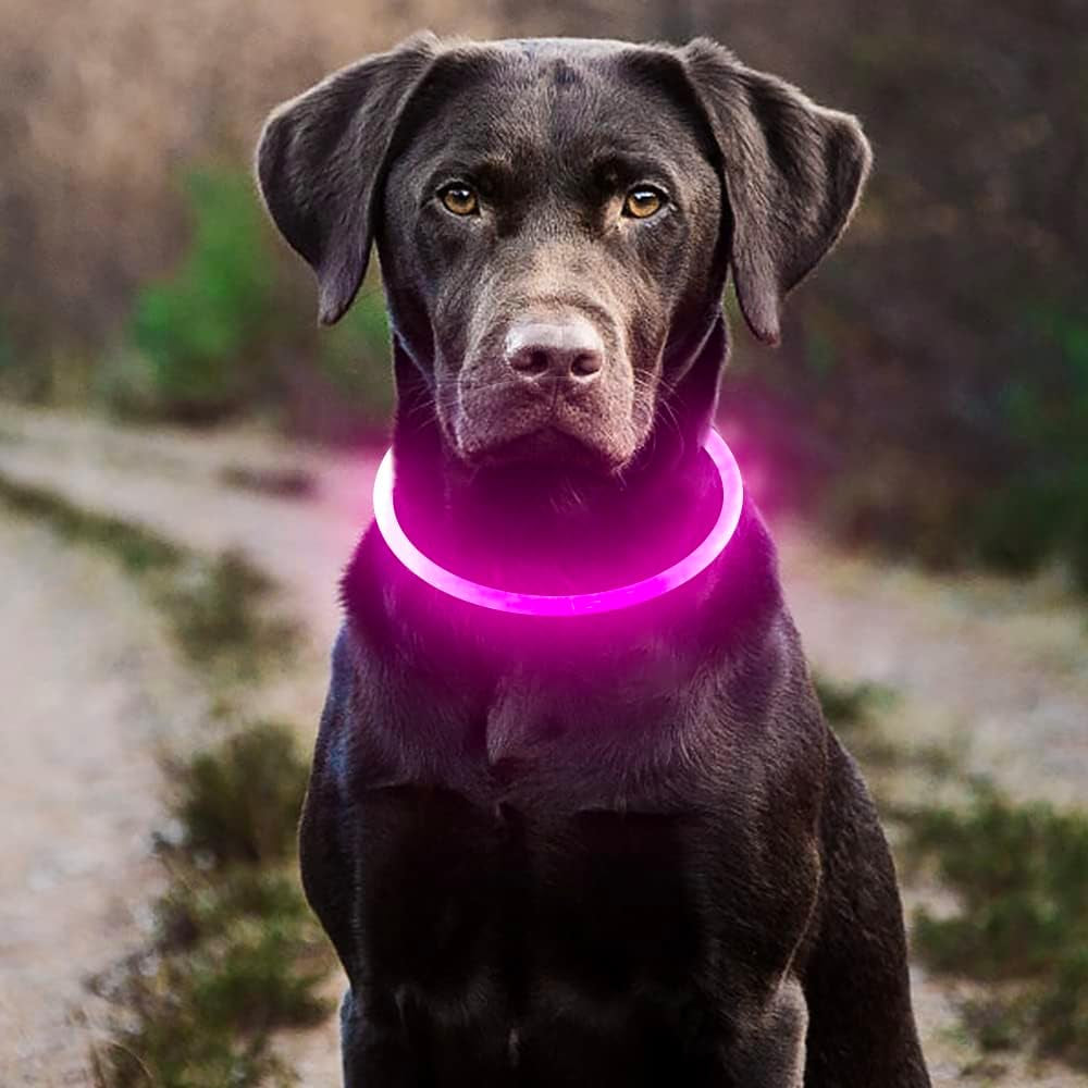 PawHeaven™ USB Rechargeable LED Dog Collar
