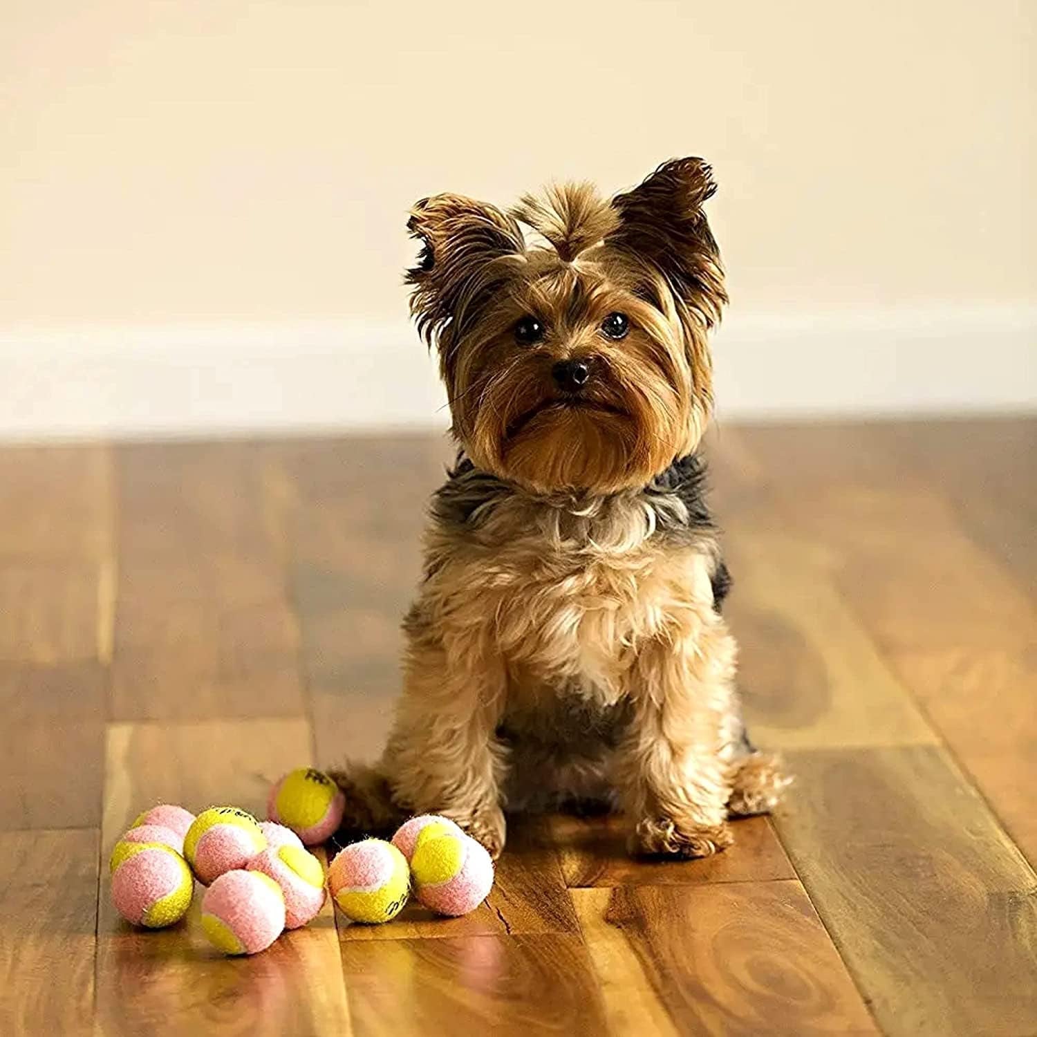 X-Small Dog Tennis Balls 1.5" Pack of 12 | Puppy Mini Fetch, Pet Little Tennis Balls, Yellow/Pink