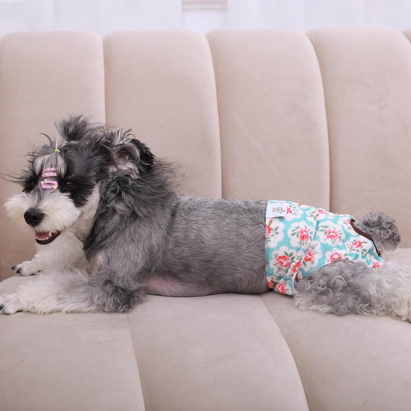 Dog Diapers Female Washable Small Medium Large 3 Pack Reusable Doggie Diapers Puppy Period Pants for Doggy Heat Cycle Peeing