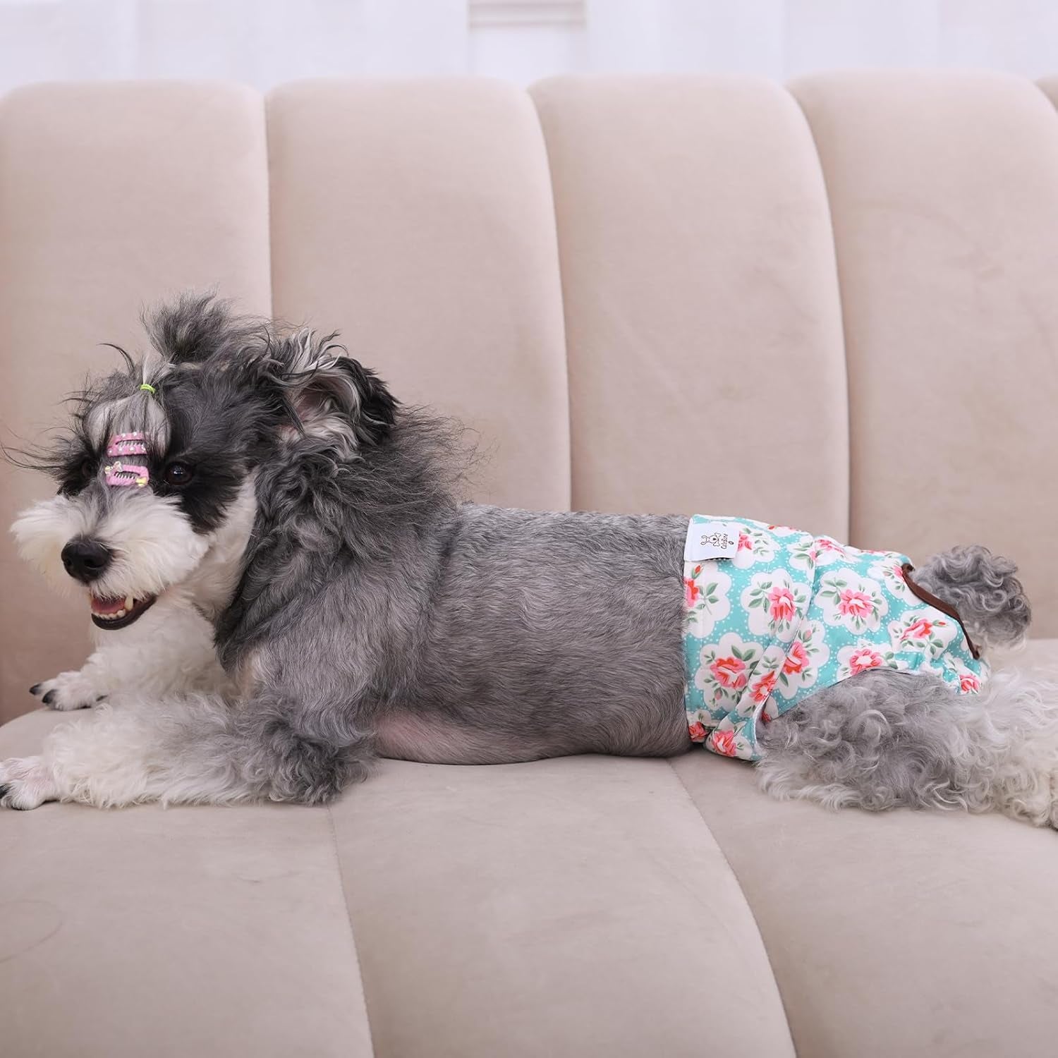 Dog Diapers Female Washable Small Medium Large 3 Pack Reusable Doggie Diapers Puppy Period Pants for Doggy Heat Cycle Peeing