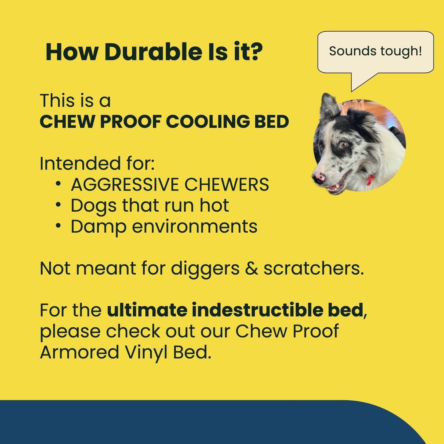 Chew Proof Elevated Cot Bed, S, Black Mesh | Virtually Indestructible Bed for Aggressive Chewers, Comes Preassembled, Indoor/Outdoor/Crate Use, Small: 29" X 18"