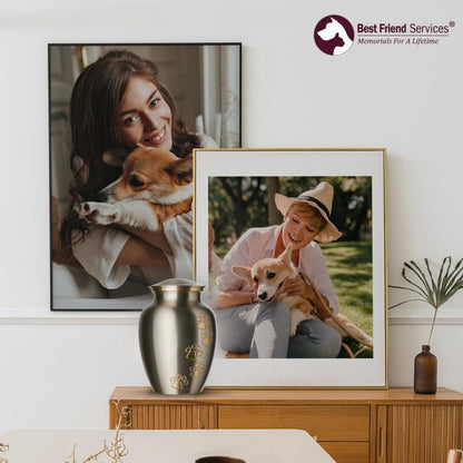 PawHeaven™ Legacy Memorial Pet Urn – Premium Pewter & Brass Keepsake for Dogs & Cats (Up to 170 lbs)