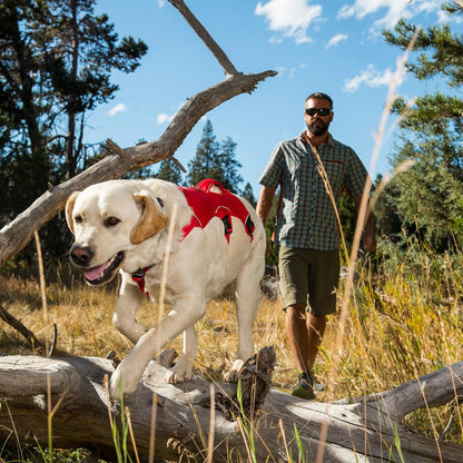 PawHeaven™ Web Master All-Terrain Assist & Support Harness – Escape-Resistant
