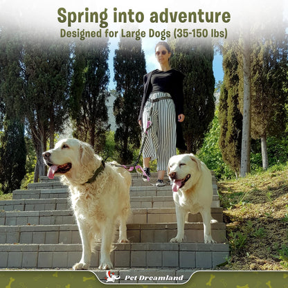 Exquisite Hands Free Dual Dog Leash for Large Dogs. Trending Waist Leash for Walking 2 Dogs No Tangle. You Will Absolutely Love This Amazing Double Dog Gear (Dark Grey & Pink)