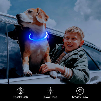 LED Dog Collar, USB Rechargeable Glowing Lighted up Collar, Cuttable Water-Resistant TPU Safety Collar Lights for Small Medium Large Dogs