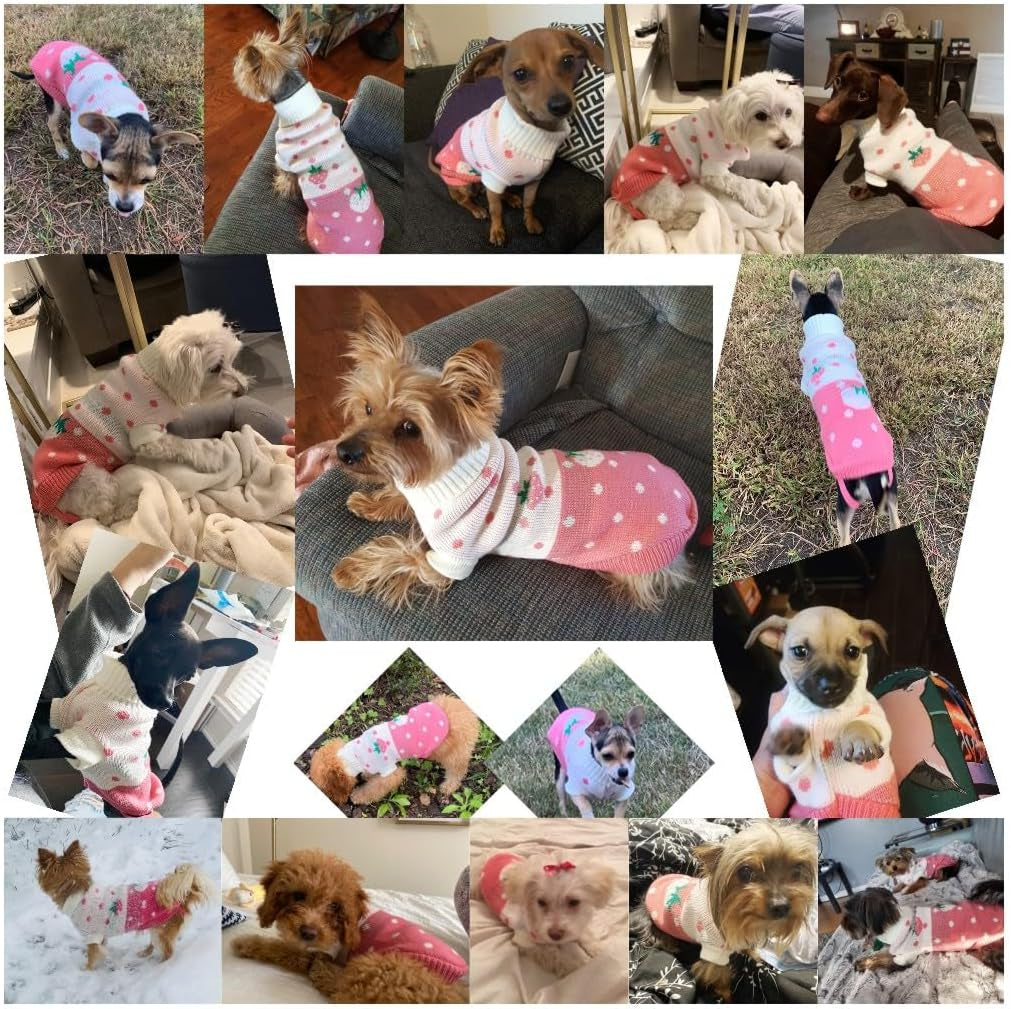 Pet Dog Sweaters Classic Knitwear Turtleneck Winter Warm Puppy Clothing Cute Strawberry and Heart Doggie Sweater (Pink, Small) | Cute Strawberry Pattern, Lightweight & Warm Knitted Winter Sweater, Cold Weather Coat, Great for Daily Wear, Easy on & Off