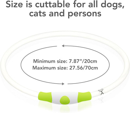 Light up Dog Collar, USB Rechargeable LED Glow Necklace, Cyan | Waterproof IP67, Cut-To-Fit TPU, 360° Night Safety, Pet Visibility Light, Camping & Walking, Fits Small-Large Dogs