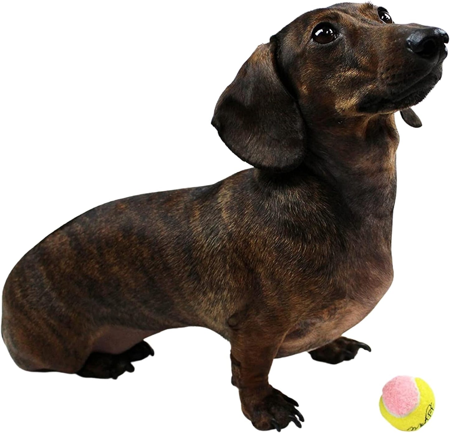 X-Small Dog Tennis Balls 1.5" Pack of 12 | Puppy Mini Fetch, Pet Little Tennis Balls, Yellow/Pink