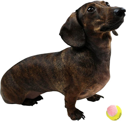 X-Small Dog Tennis Balls 1.5" Pack of 12 | Puppy Mini Fetch, Pet Little Tennis Balls, Yellow/Pink
