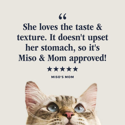 Original Minced Cups, Wet Cat Food, Rabbit, 3.5 Oz (12 Count) | Finely Minced Cuts in Savory Gravy, High Protein, Farm-Raised Rabbit, Whole-Food Ingredients, Grain-Free, Hydration Support