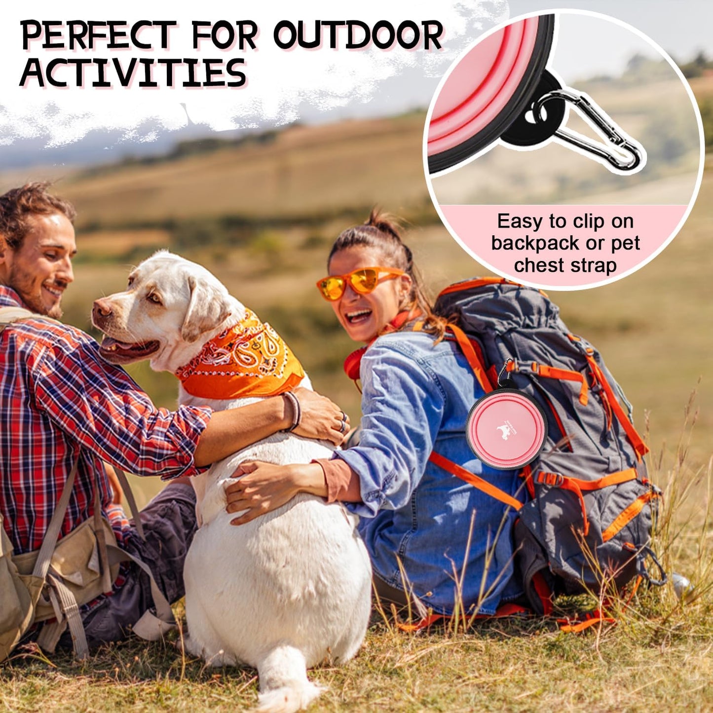 Collapsible Dog Bowls for Travel, 2-Pack Dog Portable Water Bowl for Dogs Cats Pet Foldable Feeding Watering Dish for Traveling Camping with Carabiners, BPA Free (Grey&Pink, Small (Pack of 2))