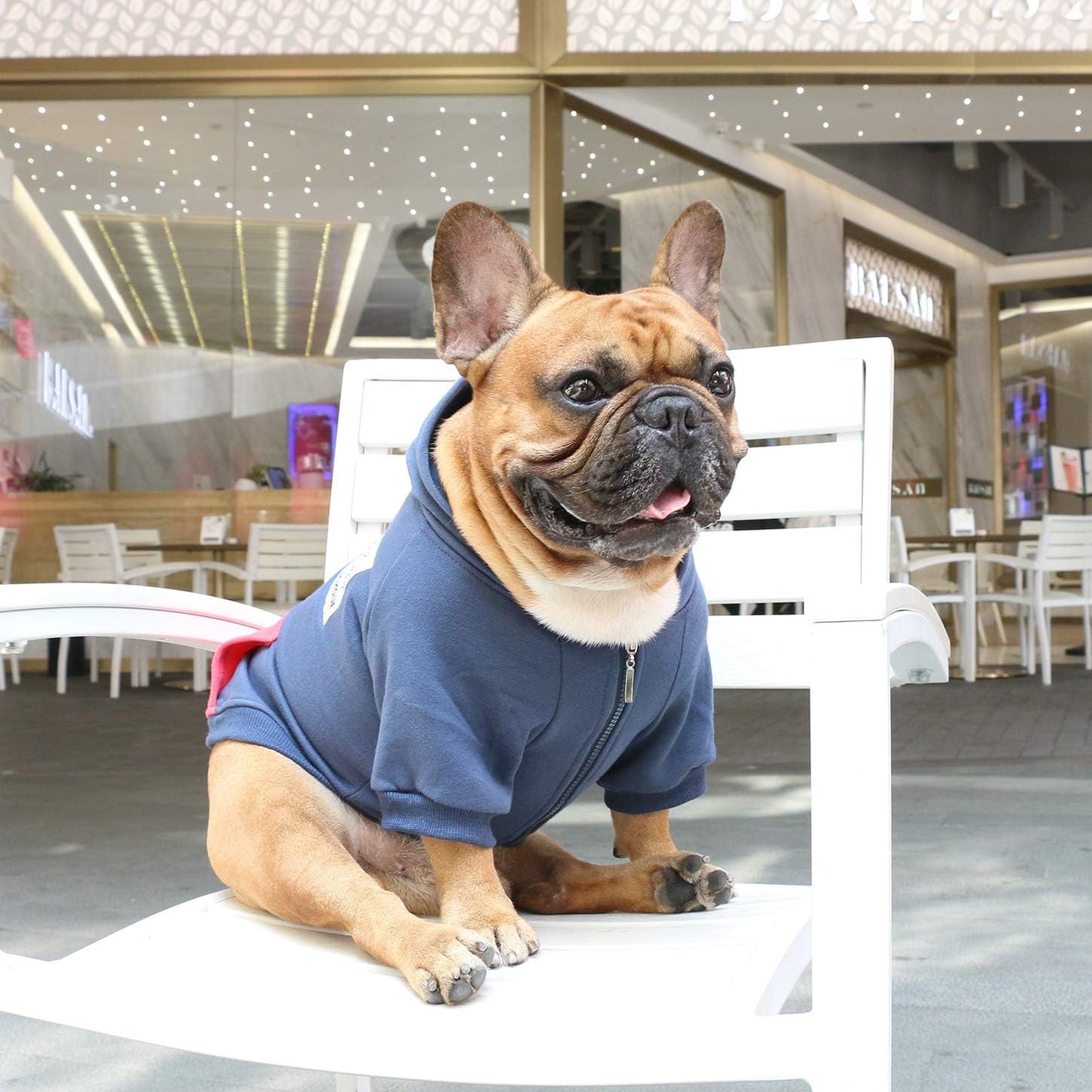 French Bulldog Pug Zipper Pocket Hoodies Clothes Navy Blue - Medium | Zipped Sweatshirts Cold Winter Coats Sweaters for Frenchie Boston Terrier Puppy English American Bully Pitbull Staffordshire