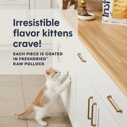 Original Kitten Dry Food, Raw Coated, Real Chicken, 4.5 Lb. Bag | Raw-Coated Kibble with Cage-Free Chicken, High Animal Protein, DHA, Probiotics, and Omegas to Support Growing Kittens