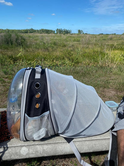 Back Expandable Cat Backpack Carrier, Fit up to 12 Lbs, Space Capsule Bubble Window Pet Carrier Backpack to Carry and Transport Cat Bunny Small Puppy