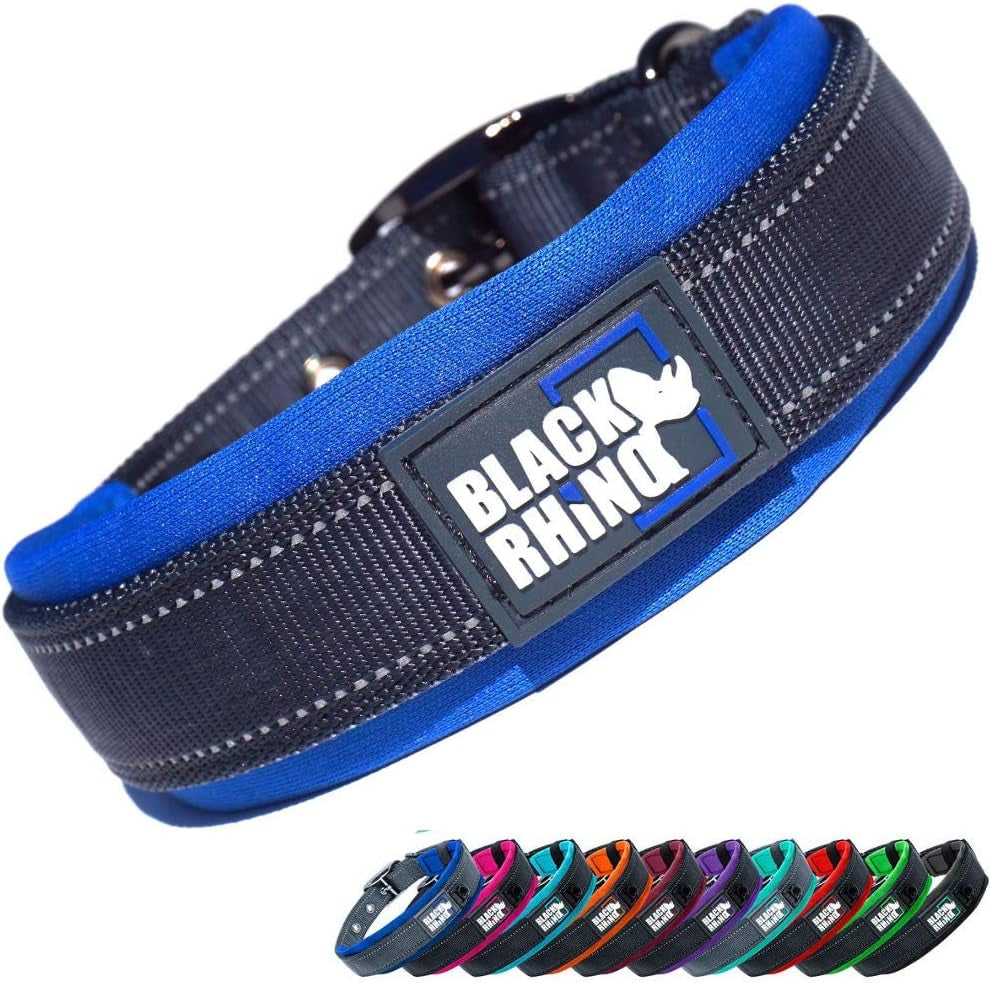 Dog Collars for Medium Dogs - Adjustable Reflective Heavy Duty Dog Collar with Ultra-Soft Neoprene Padding - Weatherproof, Durable, and Comfortable - Ideal for Active Dogs - Blue and Gray