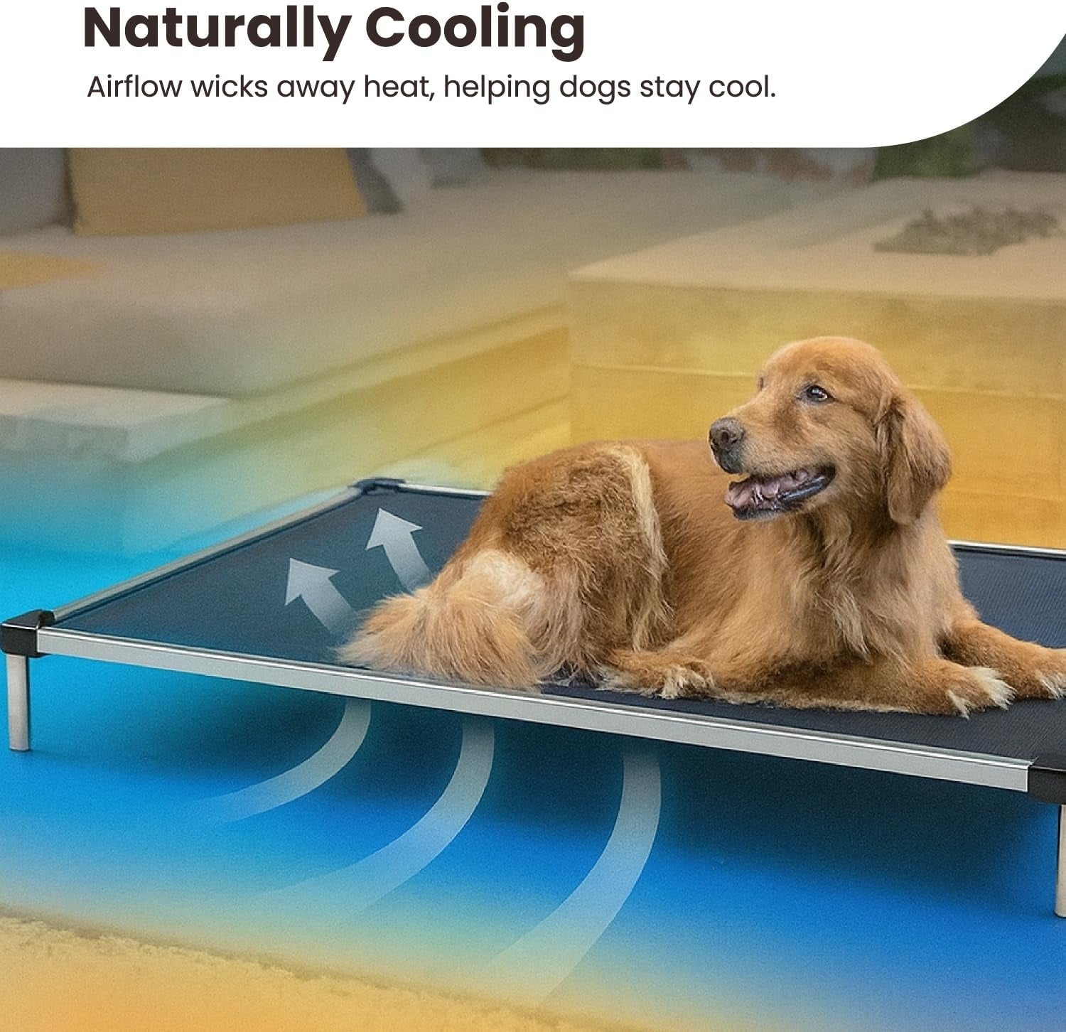 Chew Proof Elevated Cot Bed, S, Black Mesh | Virtually Indestructible Bed for Aggressive Chewers, Comes Preassembled, Indoor/Outdoor/Crate Use, Small: 29" X 18"
