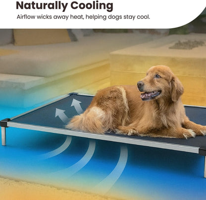 Chew Proof Elevated Cot Bed, S, Black Mesh | Virtually Indestructible Bed for Aggressive Chewers, Comes Preassembled, Indoor/Outdoor/Crate Use, Small: 29" X 18"