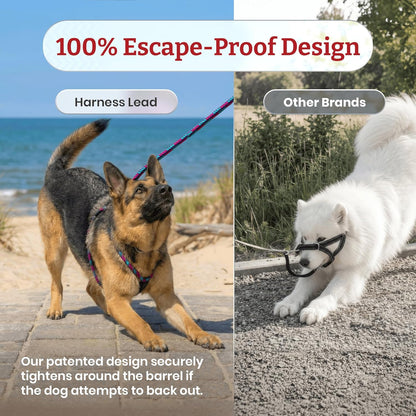 No Pull Dog Harness and Leash Set, anti Pull Dog Harness, One-Piece Cushioned Rope Safely Prevents Escaping and Pulling (Small/Medium, Red/Reflective)