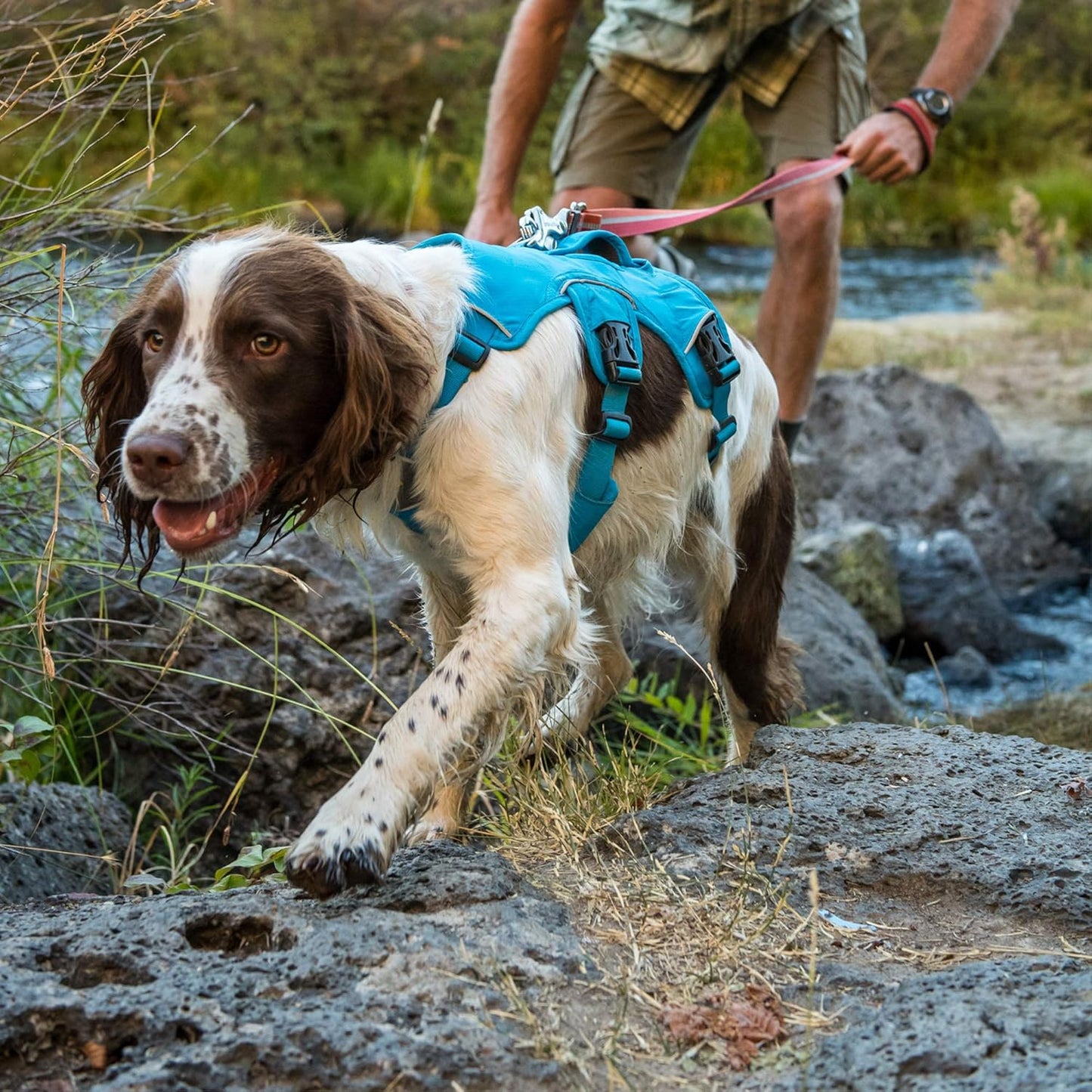 PawHeaven™ Web Master All-Terrain Assist & Support Harness – Escape-Resistant