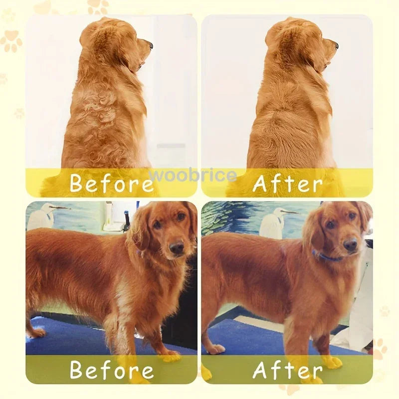 Steam Brush for Cats Soft Electric Water Jet Pet Comb Silicone Hair Remover Dog Brush Pet Grooming Supplies Products Home