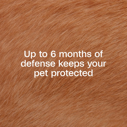 Flea & Tick Collar plus for Dogs & Puppies, 12 Months Protection Flea Infestations, Kills Fleas & Ticks, Repels Mosquitoes for up to 6 Months (Excl. California), One Size Fits All, 2 Count
