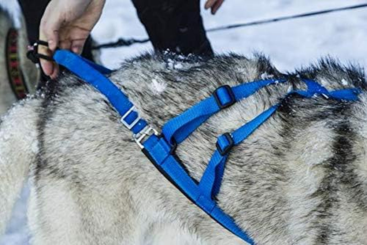 Adjustable Sled Pro Harness - Small, Pink, Dog Pulling Harness for Large Breeds & Giant Dogs, Great for Dog Joring