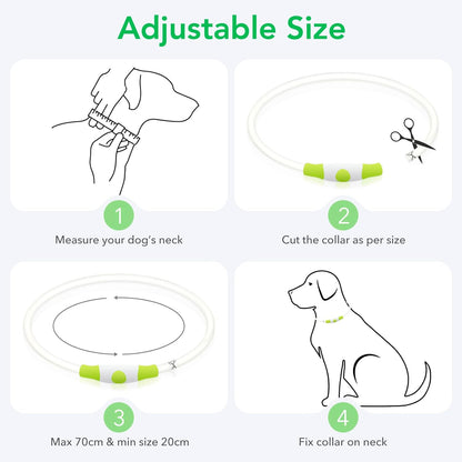 Light up Dog Collar, USB Rechargeable LED Glow Necklace, Cyan | Waterproof IP67, Cut-To-Fit TPU, 360° Night Safety, Pet Visibility Light, Camping & Walking, Fits Small-Large Dogs