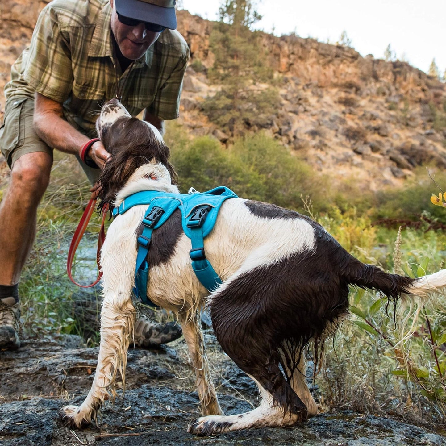 PawHeaven™ Web Master All-Terrain Assist & Support Harness – Escape-Resistant