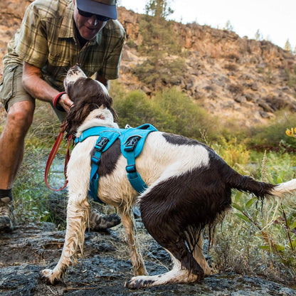PawHeaven™ Web Master All-Terrain Assist & Support Harness – Escape-Resistant
