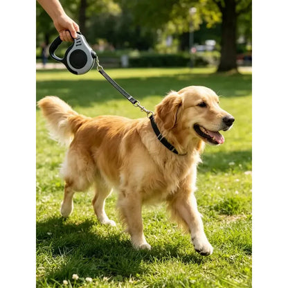 Automatic Retractable Pet Leash, Durable Walking Rope Chain for Dogs Cats, Portable Outdoor Dog Walking Strap