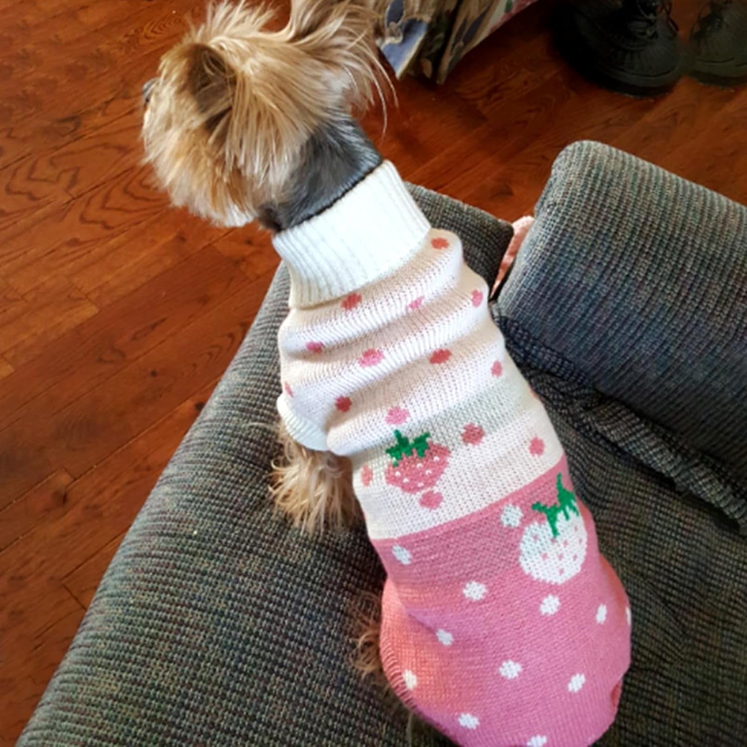 Pet Dog Sweaters Classic Knitwear Turtleneck Winter Warm Puppy Clothing Cute Strawberry and Heart Doggie Sweater (Pink, Small) | Cute Strawberry Pattern, Lightweight & Warm Knitted Winter Sweater, Cold Weather Coat, Great for Daily Wear, Easy on & Off