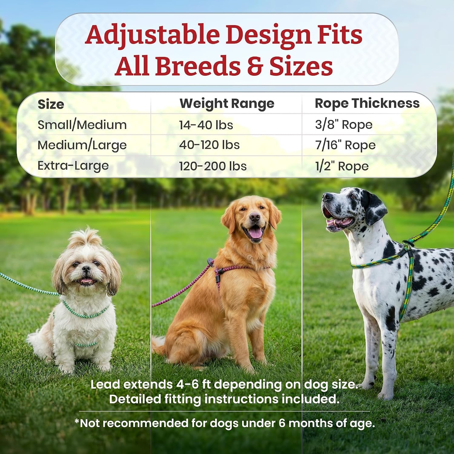 No Pull Dog Harness and Leash Set, anti Pull Dog Harness, One-Piece Cushioned Rope Safely Prevents Escaping and Pulling (Small/Medium, Red/Reflective)