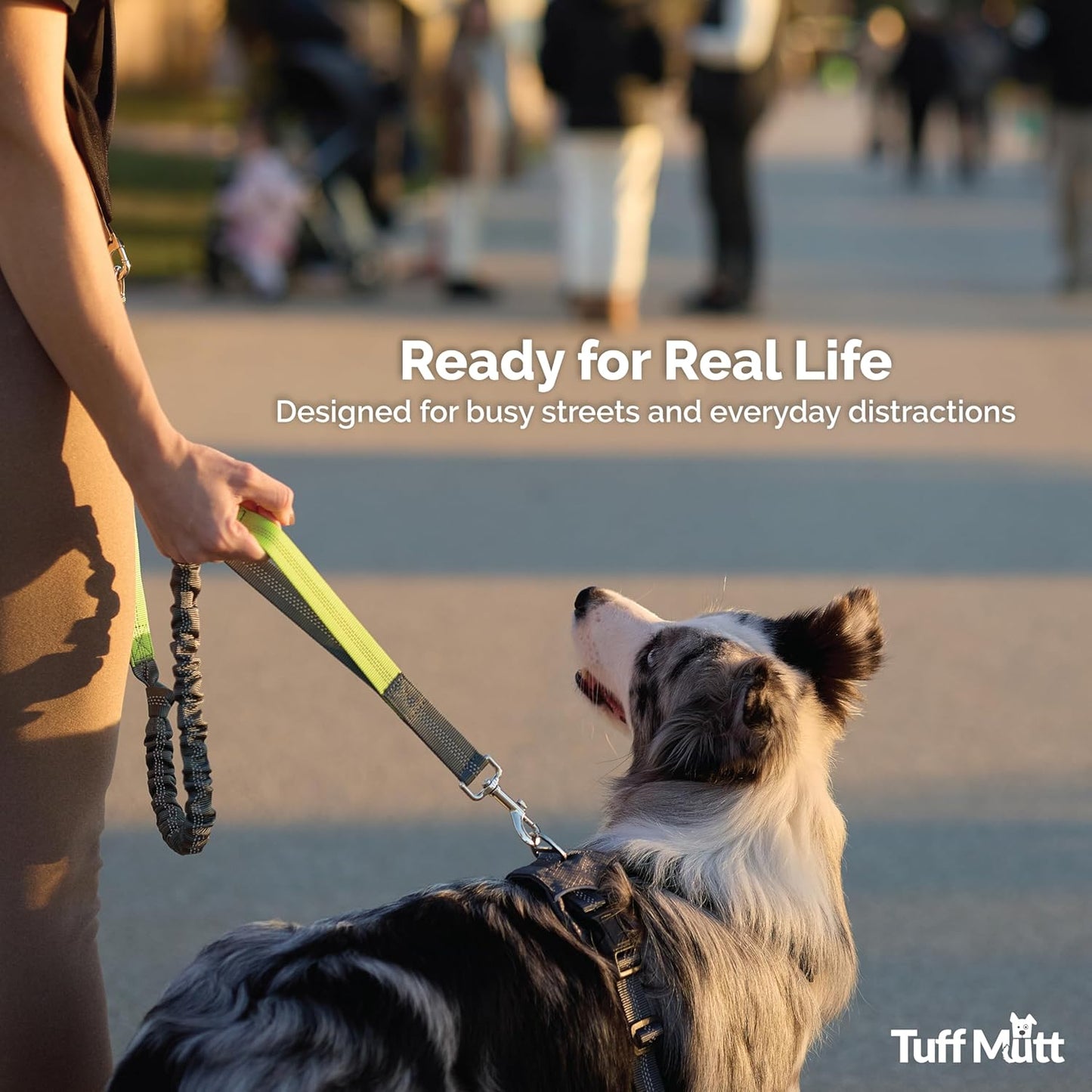 Waist Hands Free Dog Leash for Walking Running Hiking | Waist Leash with Bungee, Adjustable Belt, Reflective Double Handle Design, Carabiner Clip, for Medium & Large Dogs