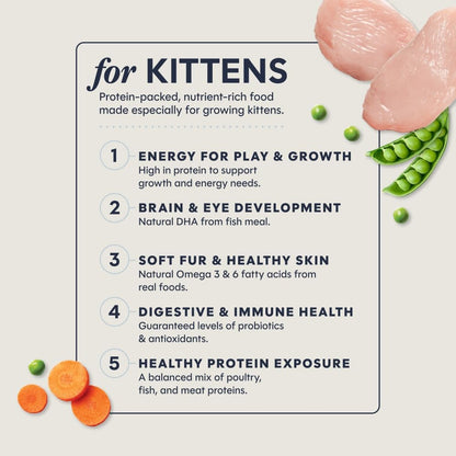 Original Kitten Dry Food, Raw Coated, Real Chicken, 4.5 Lb. Bag | Raw-Coated Kibble with Cage-Free Chicken, High Animal Protein, DHA, Probiotics, and Omegas to Support Growing Kittens