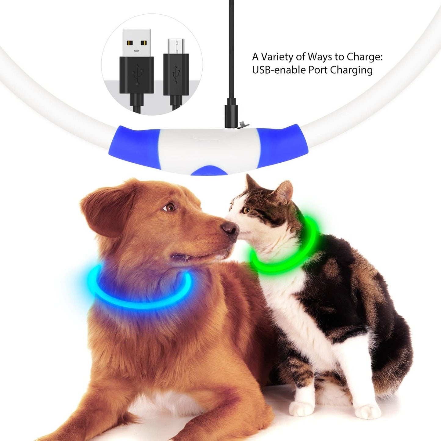 LED Dog Collar, USB Rechargeable Glowing Lighted up Collar, Cuttable Water-Resistant TPU Safety Collar Lights for Small Medium Large Dogs