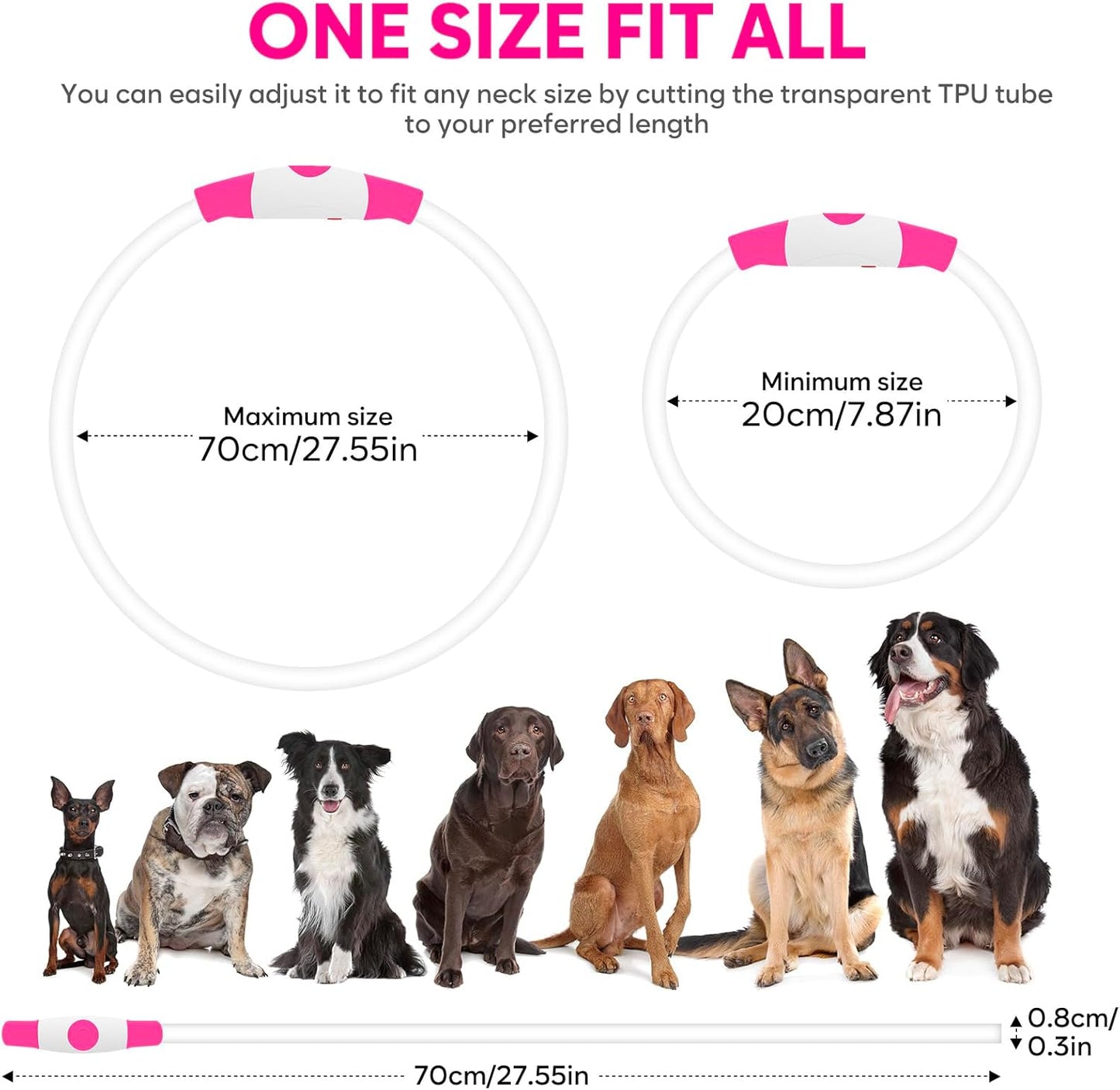 PawHeaven™ USB Rechargeable LED Dog Collar