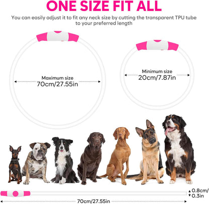 PawHeaven™ USB Rechargeable LED Dog Collar