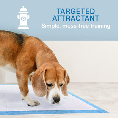 Wee-Wee Superior Performance Dog Pee Pads, 100 Count