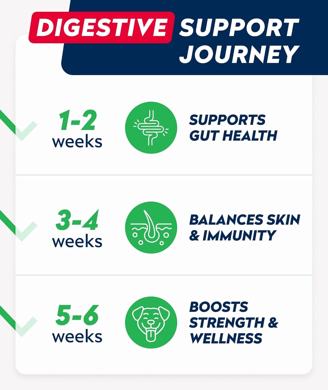 Probiotics Chews for Dogs & Digestive Enzymes + Digestion & Gut Health Treats, Probiotics for Dogs, Fiber Supplement, anti Diarrhea, Constipation, Upset Stomach&Gas Relief,Canine Prebiotic