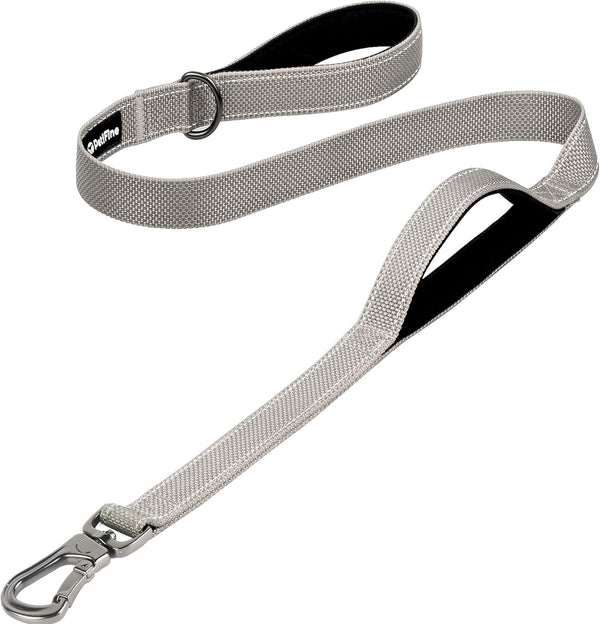 4FT Heavy Duty Dog Leash with Soft Padded Double Handle | Traffic Handle Extra Control,Auto Lock Hook,Reflective Nylon Walking Lead for Large,Medium,Small Breed Dogs