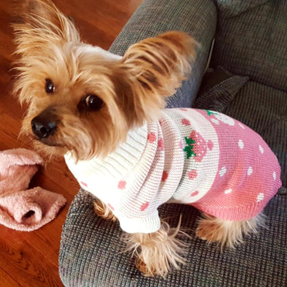 Pet Dog Sweaters Classic Knitwear Turtleneck Winter Warm Puppy Clothing Cute Strawberry and Heart Doggie Sweater (Pink, Small) | Cute Strawberry Pattern, Lightweight & Warm Knitted Winter Sweater, Cold Weather Coat, Great for Daily Wear, Easy on & Off