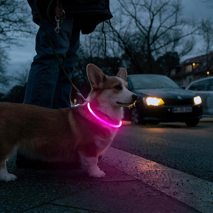 PawHeaven™ USB Rechargeable LED Dog Collar